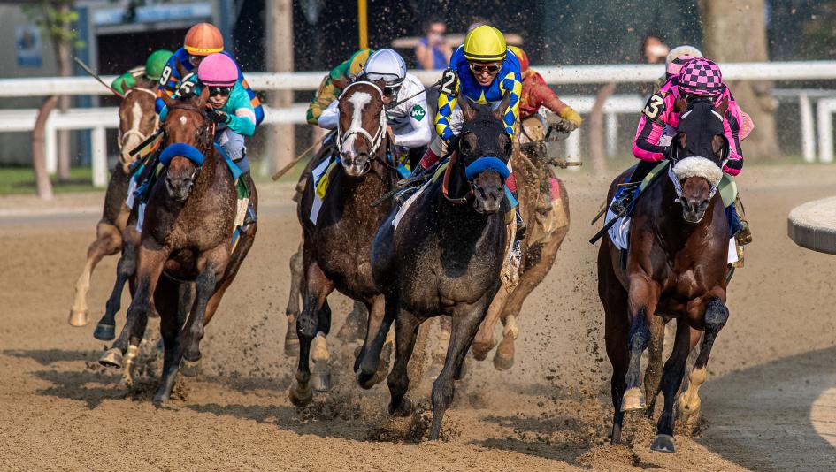 Saratoga Race Course, Weekend Winners, Caress Stakes, Alfred G. Vanderbilt, America's Best Racing, horse racing, ABR